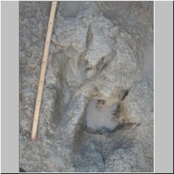 102_7539 (2013-08-19)mr.JPG